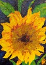Centered Sunflower